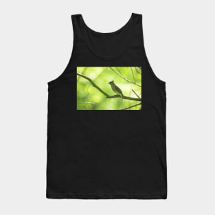 Cedar Tank Top